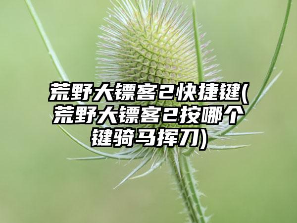 荒野大镖客2快捷键(荒野大镖客2按哪个键骑马挥刀)