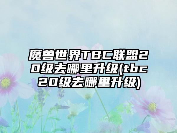 魔兽世界TBC联盟20级去哪里升级(tbc20级去哪里升级)