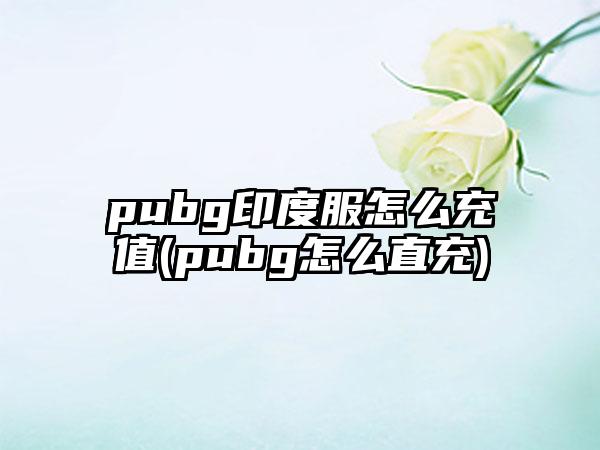 pubg印度服怎么充值(pubg怎么直充)