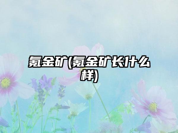 氪金矿(氪金矿长什么样)