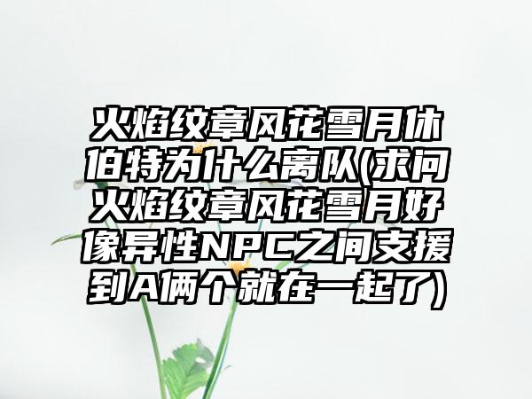 火焰纹章风花雪月休伯特为什么离队(求问火焰纹章风花雪月好像异性NPC之间支援到A俩个就在一起了)