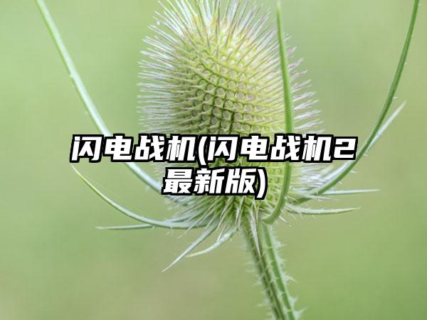 闪电战机(闪电战机2最新版)