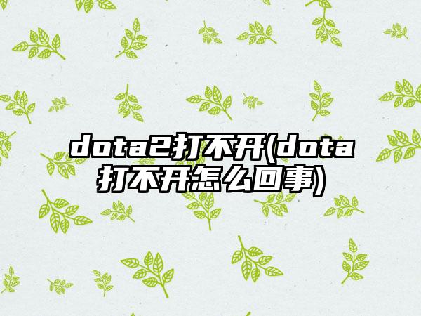 dota2打不开(dota打不开怎么回事)