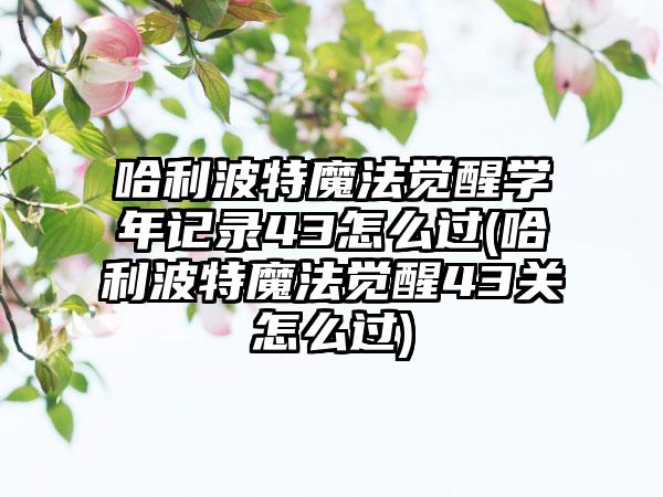 哈利波特魔法觉醒学年记录43怎么过(哈利波特魔法觉醒43关怎么过)