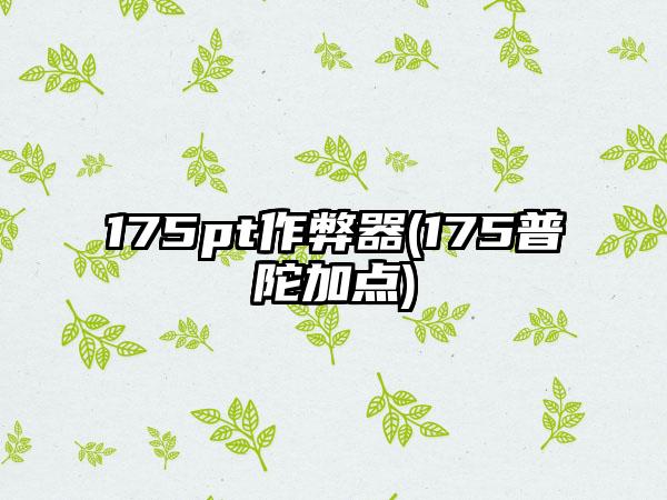 175pt作弊器(175普陀加点)
