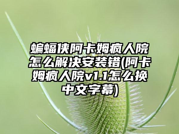 蝙蝠侠阿卡姆疯人院怎么解决安装错(阿卡姆疯人院v1.1怎么换中文字幕)