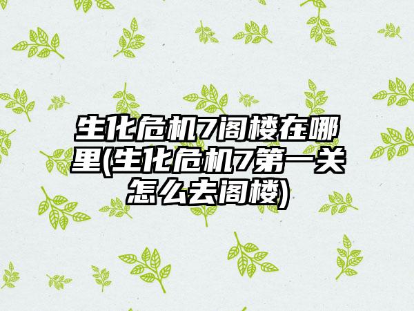 生化危机7阁楼在哪里(生化危机7第一关怎么去阁楼)