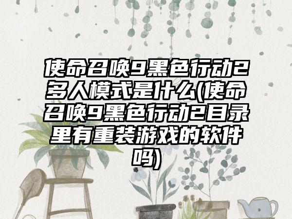 使命召唤9黑色行动2多人模式是什么(使命召唤9黑色行动2目录里有重装游戏的软件吗)