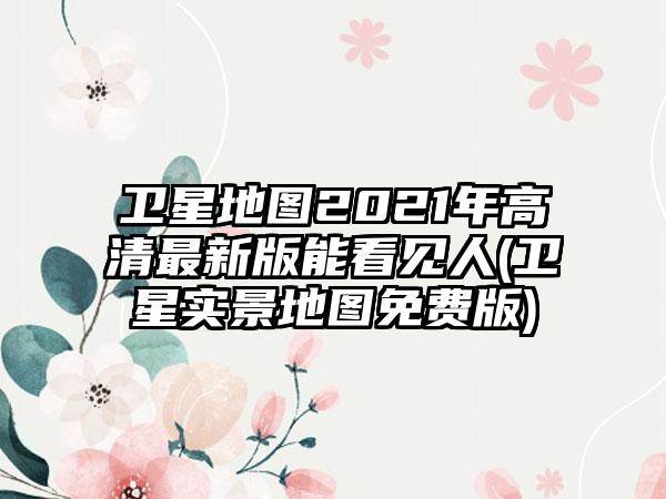 卫星地图2021年高清最新版能看见人(卫星实景地图免费版)