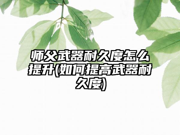 师父武器耐久度怎么提升(如何提高武器耐久度)