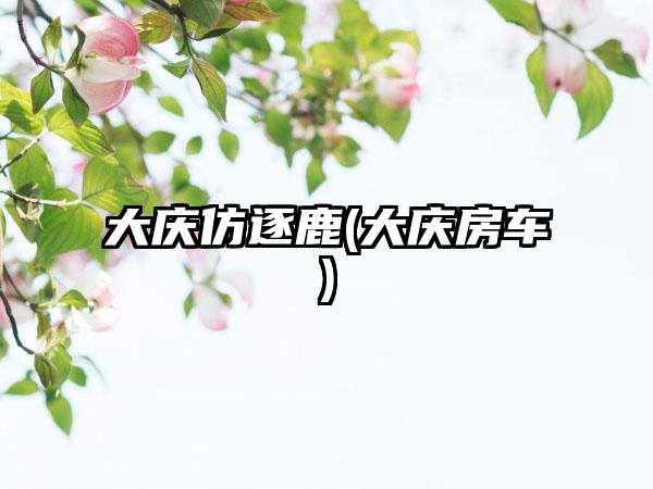 大庆仿逐鹿(大庆房车)