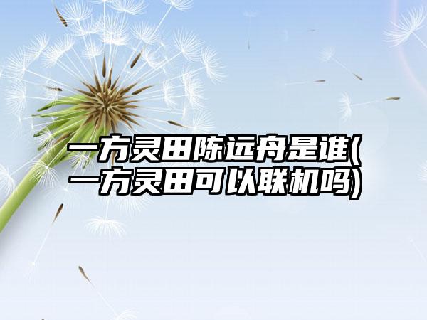 一方灵田陈远舟是谁(一方灵田可以联机吗)