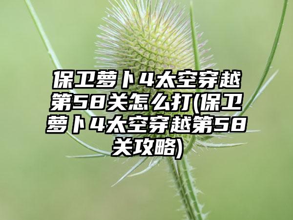保卫萝卜4太空穿越第58关怎么打(保卫萝卜4太空穿越第58关攻略)