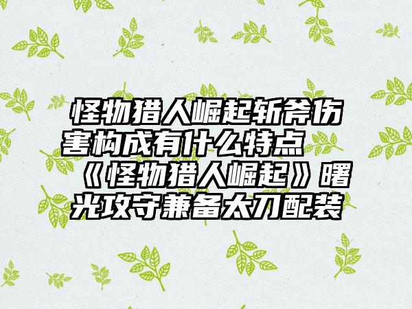 怪物猎人崛起斩斧伤害构成有什么特点 《怪物猎人崛起》曙光攻守兼备太刀配装