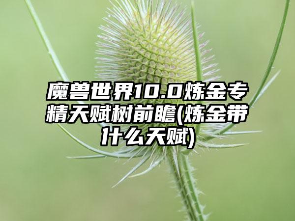 魔兽世界10.0炼金专精天赋树前瞻(炼金带什么天赋)