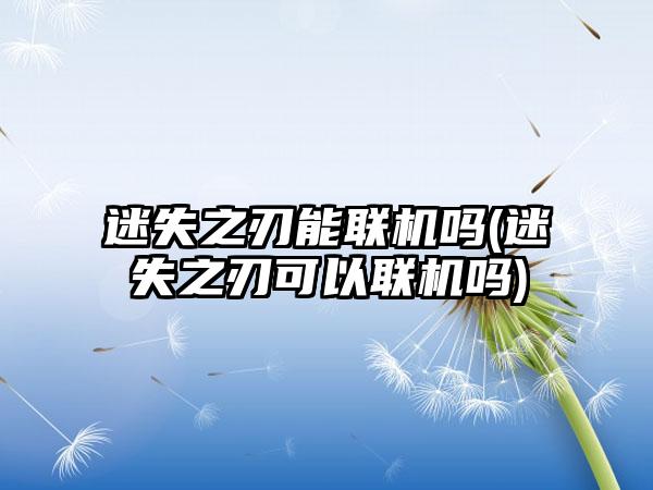 迷失之刃能联机吗(迷失之刃可以联机吗)