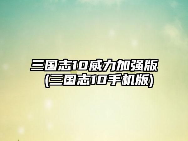 三国志10威力加强版 (三国志10手机版)