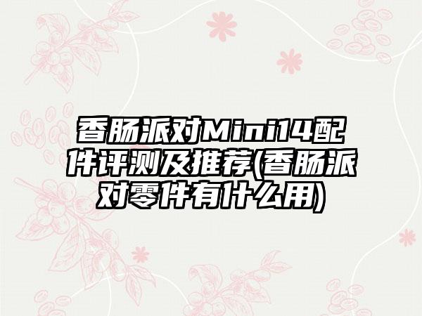 香肠派对Mini14配件评测及推荐(香肠派对零件有什么用)