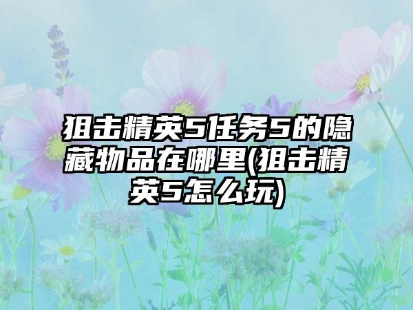 狙击精英5任务5的隐藏物品在哪里(狙击精英5怎么玩)