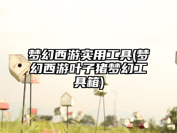 梦幻西游实用工具(梦幻西游叶子猪梦幻工具箱)