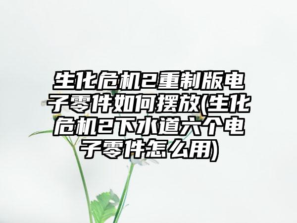 生化危机2重制版电子零件如何摆放(生化危机2下水道六个电子零件怎么用)