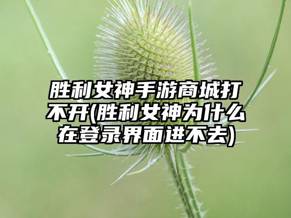 胜利女神手游商城打不开(胜利女神为什么在登录界面进不去)