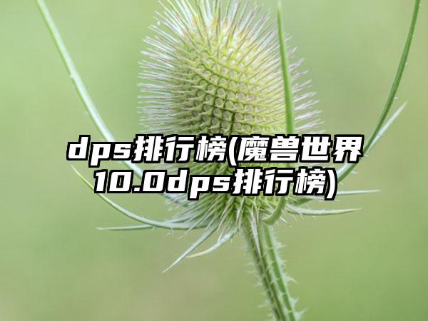 dps排行榜(魔兽世界10.0dps排行榜)