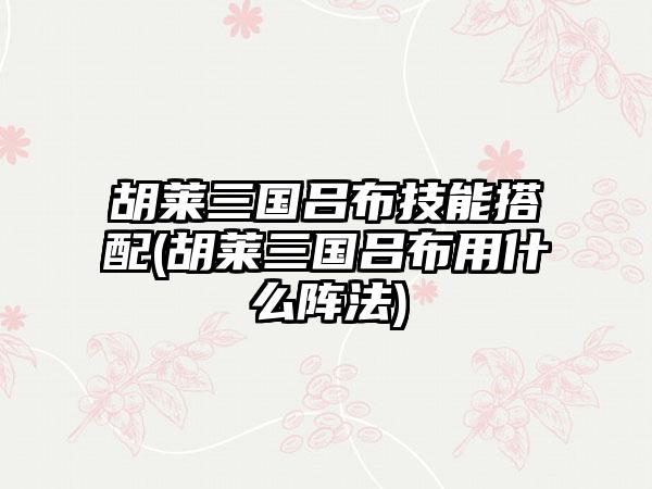 胡莱三国吕布技能搭配(胡莱三国吕布用什么阵法)