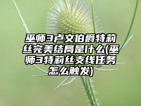 巫师3卢文伯爵特莉丝完美结局是什么(巫师3特莉丝支线任务怎么触发)