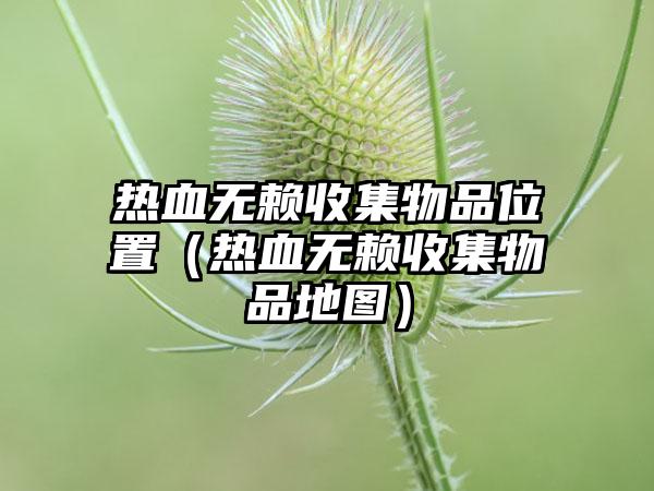 热血无赖收集物品位置（热血无赖收集物品地图）