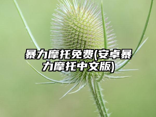 暴力摩托免费(安卓暴力摩托中文版)