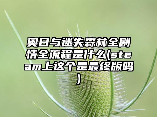 奥日与迷失森林全剧情全流程是什么(steam上这个是最终版吗)