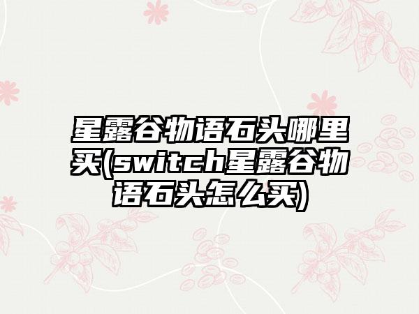 星露谷物语石头哪里买(switch星露谷物语石头怎么买)