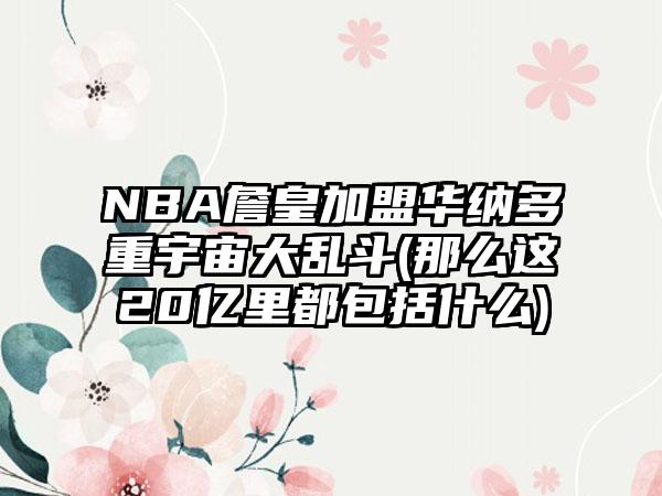 NBA詹皇加盟华纳多重宇宙大乱斗(那么这20亿里都包括什么)