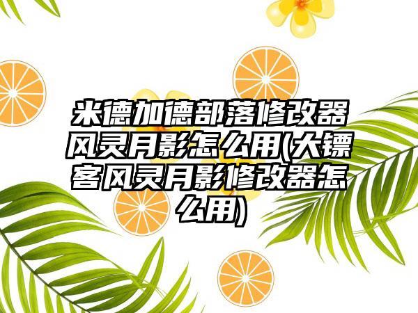 米德加德部落修改器风灵月影怎么用(大镖客风灵月影修改器怎么用)