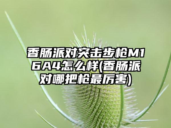 香肠派对突击步枪M16A4怎么样(香肠派对哪把枪最厉害)