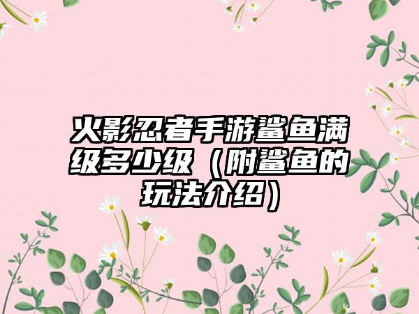 火影忍者手游鲨鱼满级多少级（附鲨鱼的玩法介绍）