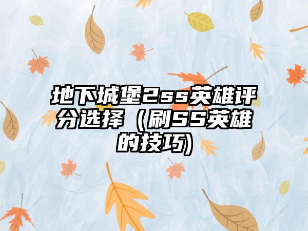 地下城堡2ss英雄评分选择（刷SS英雄的技巧)