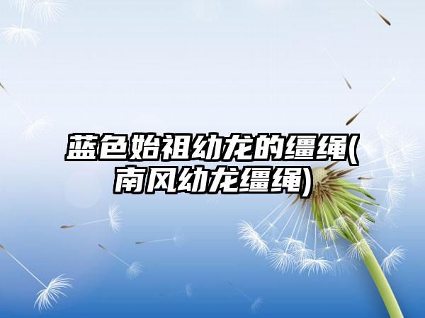 蓝色始祖幼龙的缰绳(南风幼龙缰绳)
