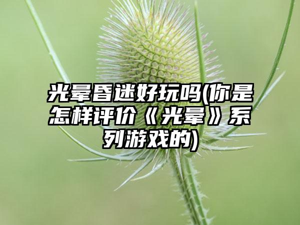 光晕昏迷好玩吗(你是怎样评价《光晕》系列游戏的)