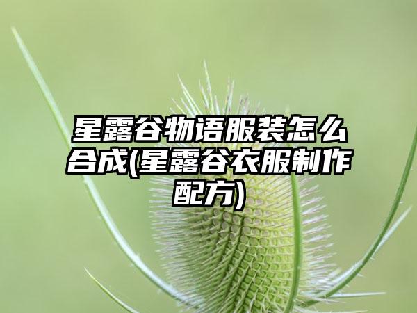 星露谷物语服装怎么合成(星露谷衣服制作配方)