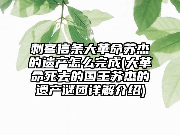 刺客信条大革命苏杰的遗产怎么完成(大革命死去的国王苏杰的遗产谜团详解介绍)