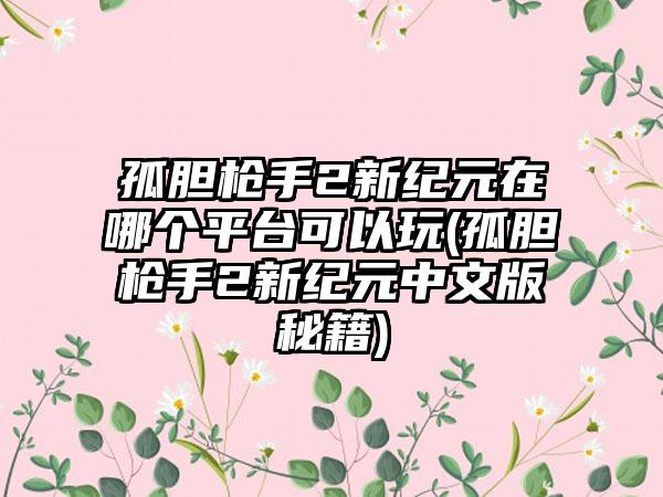 孤胆枪手2新纪元在哪个平台可以玩(孤胆枪手2新纪元中文版秘籍)