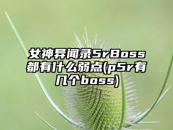 女神异闻录5rBoss都有什么弱点(p5r有几个boss)