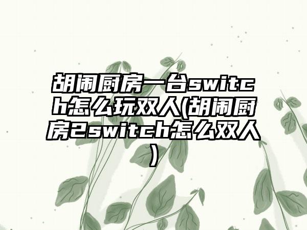 胡闹厨房一台switch怎么玩双人(胡闹厨房2switch怎么双人)