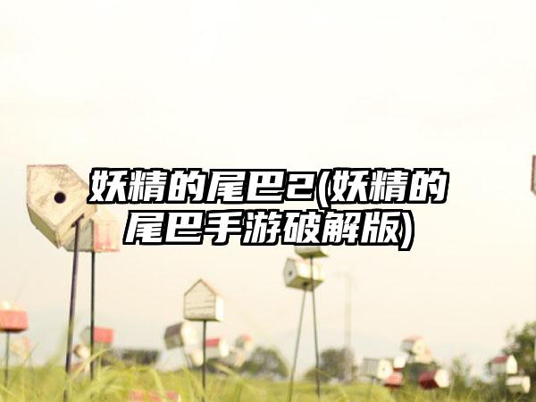 妖精的尾巴2(妖精的尾巴手游破解版)