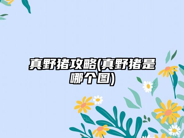 真野猪攻略(真野猪是哪个图)