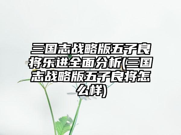 三国志战略版五子良将乐进全面分析(三国志战略版五子良将怎么样)