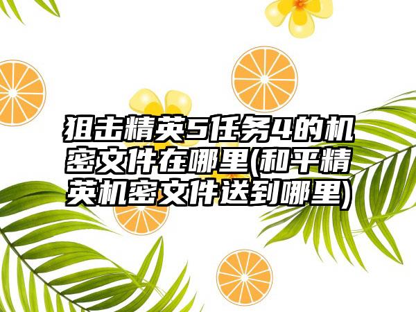 狙击精英5任务4的机密文件在哪里(和平精英机密文件送到哪里)