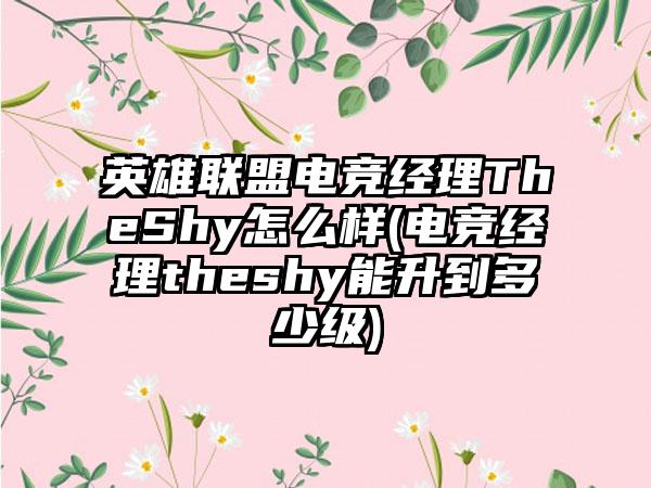 英雄联盟电竞经理TheShy怎么样(电竞经理theshy能升到多少级)